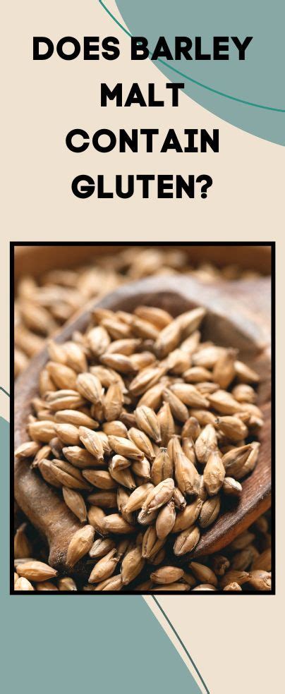 barley malt gluten